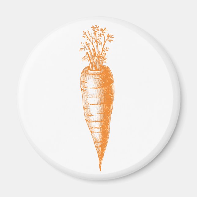 Carrot Magnet (Vorne)