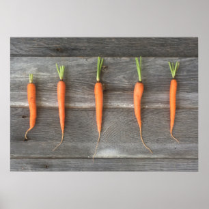 Carrot Poster