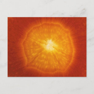 Carrot Postkarte