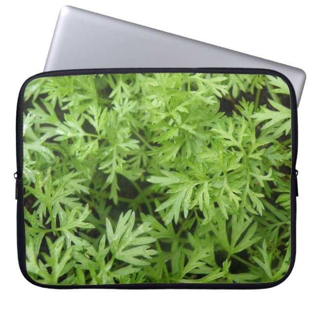 Carrot Tops Laptop Bag Laptopschutzhülle (Vorderseite)