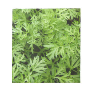 Carrot Tops Notepad Notizblock