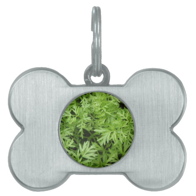 Carrot Tops Pet Tag Tiermarke (Vorderseite)