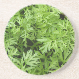 Carrot Tops Untersetzer