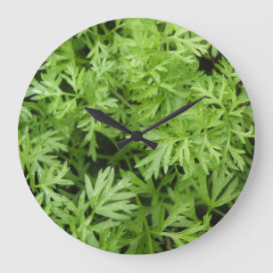 Carrot Tops Wall Clock Große Wanduhr