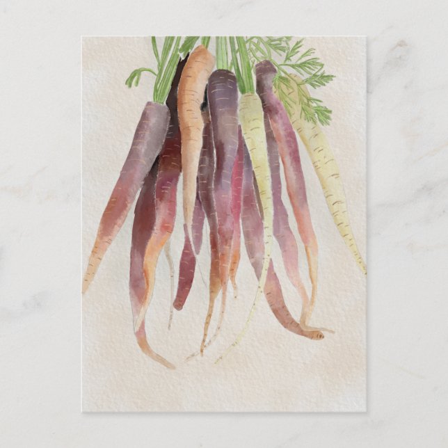 Carrots, 5x7 Post Card Postkarte (Vorderseite)
