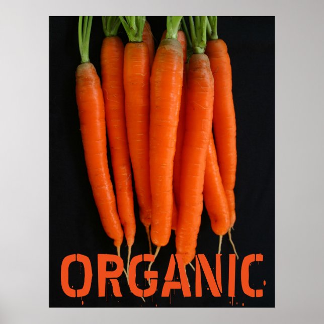 Carrots Frisch aus dem Garten Poster (Vorne)
