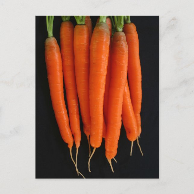 Carrots Frisch aus dem Garten Postkarte (Vorderseite)
