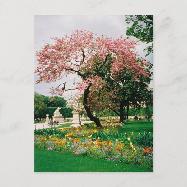 Carrousel Gardens Postcard Postkarte (Vorderseite)