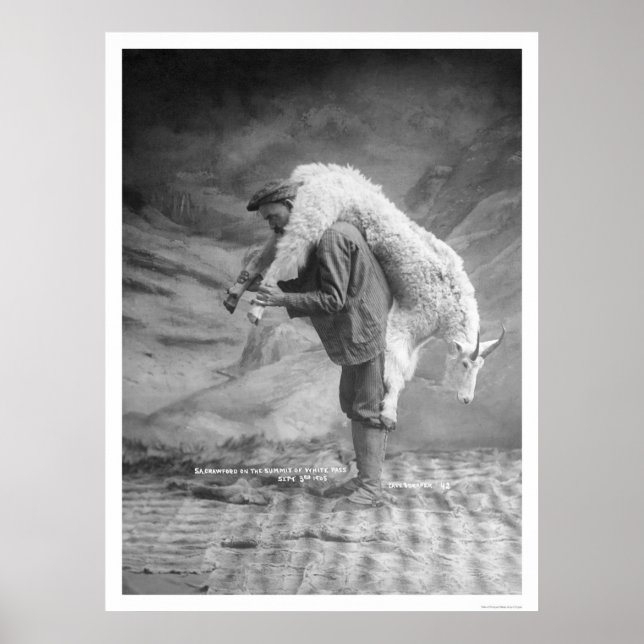 Carry Goat Alaska 1905 Poster (Vorne)