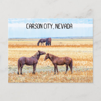 Carson City Nevada Souvenir Postcard Postkarte