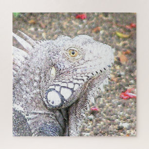 CArt Iguana Puzzle