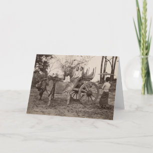 Cart pulled by two oxen at Mandalay, Burma Karte