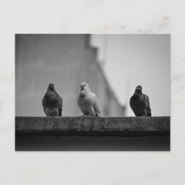 Cartão Postal - Três Pombos (Avenida Paulista)|Nº3 Postkarte