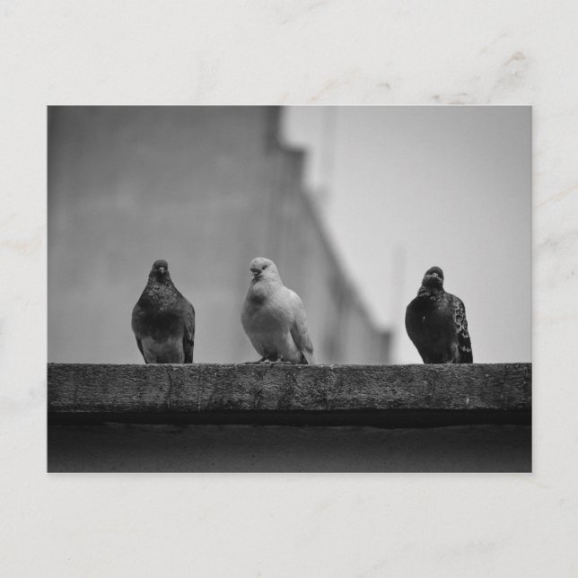 Cartão Postal - Três Pombos (Avenida Paulista)|Nº3 Postkarte (Vorderseite)