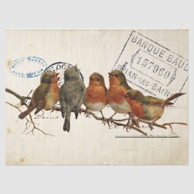 Carte Postale Bird Set 3 von 4 europäischen Robins Seidenpapier (Vorderseite)
