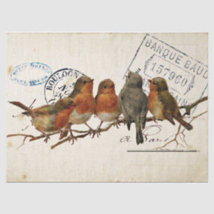 Carte Postale Bird Set 3 von 4 (European Robins) Seidenpapier