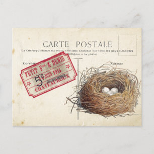 Carte Postale Bird Set 4 von 4 (Vogel's Nest Ticke Postkarte