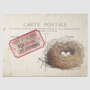 Carte Postale Bird Set 4 von 4 (Vogel's Nest Ticke Seidenpapier