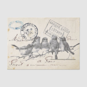 Carte Postale Französischer Songbirds auf einer Zw Seidenpapier