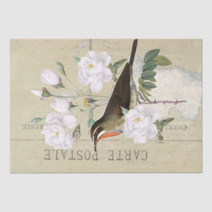 Carte Postale French Bird White Rose Decoupage Seidenpapier