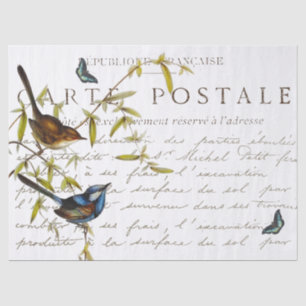 Carte Postale French Script Bird Butterfly Vintag Seidenpapier