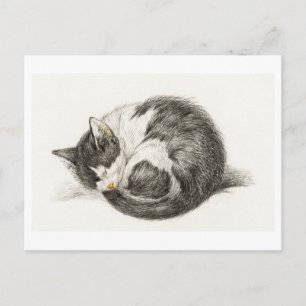 Carte Postale Joyeux Anniversaire Chaton Postkarte