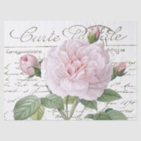 Carte Postale Pink Redouté Rose Gold Französische