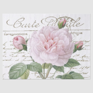 Carte Postale Pink Redouté Rose Gold Französische Seidenpapier
