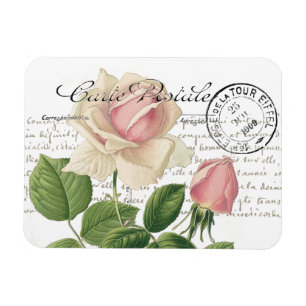 Carte Postale Pink Rose Französisches Drehbuch Vi Magnet