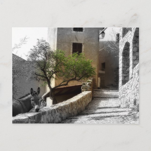 Carte postale SANT'ANTONINO Postkarte (Vorderseite)