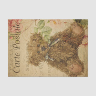 Carte Postale Teddy Bear Seidenpapier