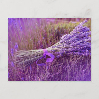 Cartes postale bouquet de lavandes postkarte