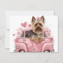 Cartes Postales Dog Yorkshire