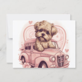 Cartes Postales Dog Yorkshire Postkarte