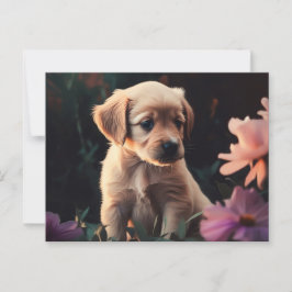 Cartes Postales Puppy Postkarte