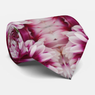 Cartheuserin Krawatte