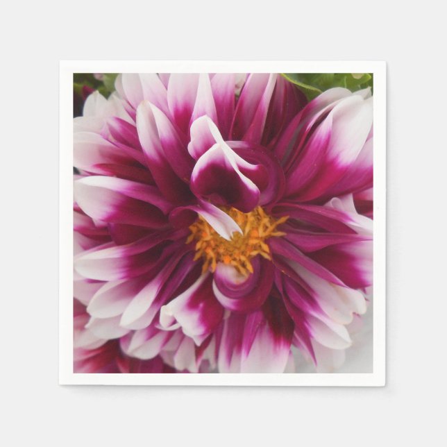 Cartheuserin Serviette (Vorderseite)