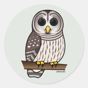 Cartoon Barred Owl Runder Aufkleber
