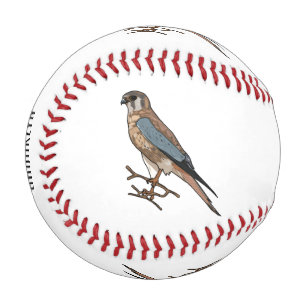 Cartoon Baseball
