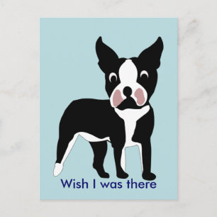 Cartoon Boston Terrier Postcard Postkarte