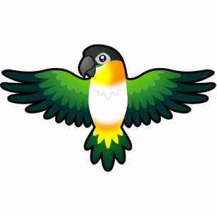 Cartoon-Caique/Lovebird/Pionus/Papagei Fotoskulptur Magnet