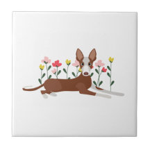 Cartoon Dog in rosa und gelb Blumen