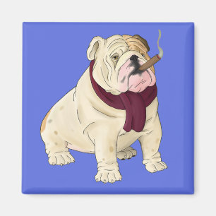 Cartoon-Englisch-Bulldoggen-Welpen-Hund-blauer Mag Magnet