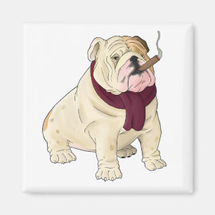 Cartoon-Englisch-Bulldoggen-Welpen-Hund-Magnet Magnet