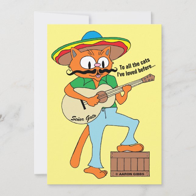 Cartoon Fiesta Cat Funny Cinco De Mayo Flachbildsc (Vorderseite)