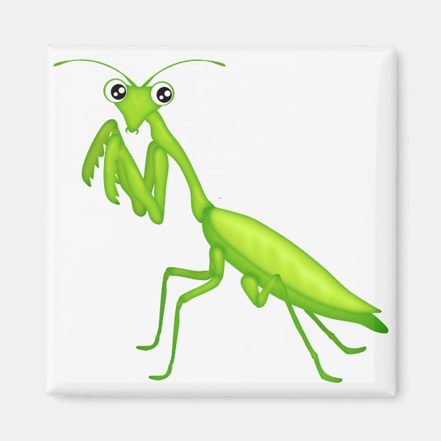 Cartoon Green Praying Mantis-Magnete Magnet (Vorne)