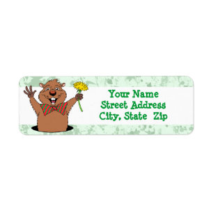 Cartoon Groundhog