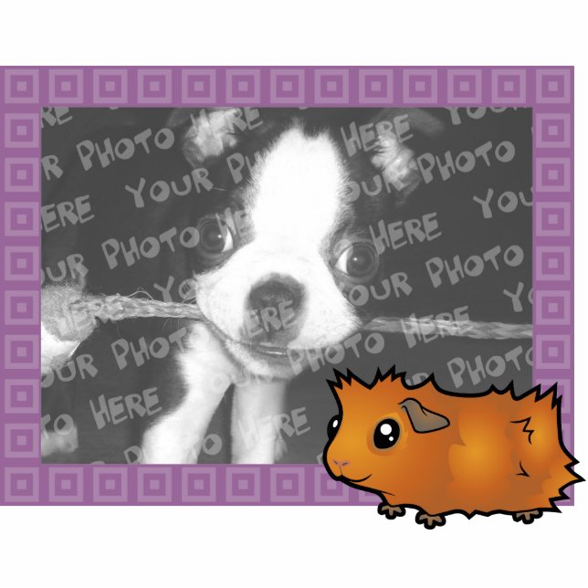 Cartoon Guinea Pig Foto Frame Fotoskulptur Magnet (Vorne)