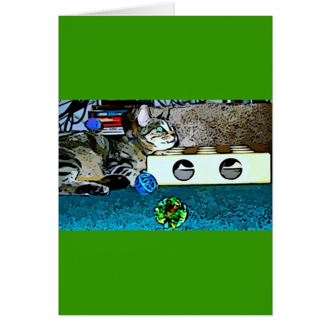 Cartoon Indigo (Vorne)