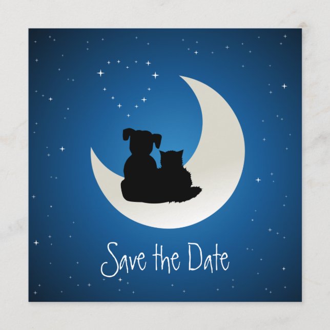 Cartoon Katze und Hunde Seeleute Save the Date (Vorderseite)